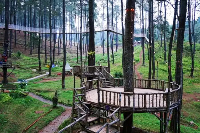 Menelusuri Indahnya Destinasi Alam di Bogor