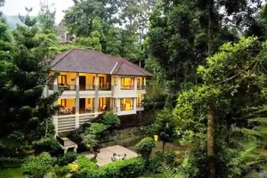 Hotel Tengah Hutan di Bogor untuk Staycation Sejuk dan Nyaman