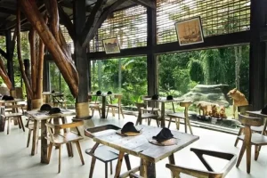Wana Restaurant Bali Zoo: Sensasi Makan Dekat Singa Layaknya Suasana Alam Liar Afrika